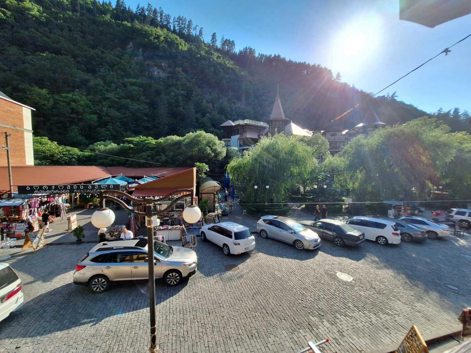 Alongside Park Borjomi Hotel Ngoại thất bức ảnh